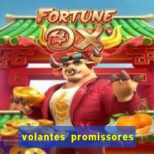 volantes promissores ea fc 24